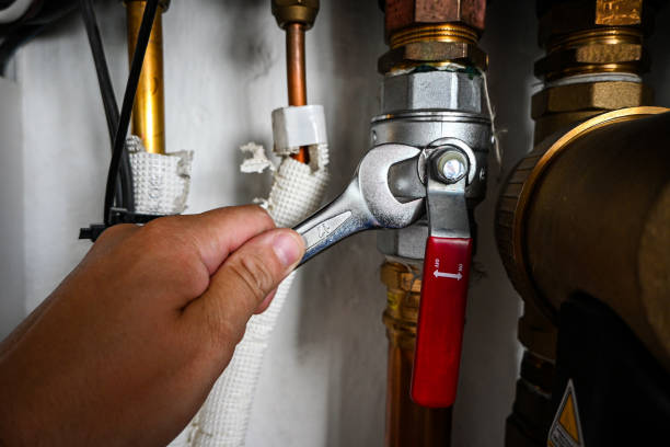 Best Affordable Plumbing Services  in Brunswick, MD